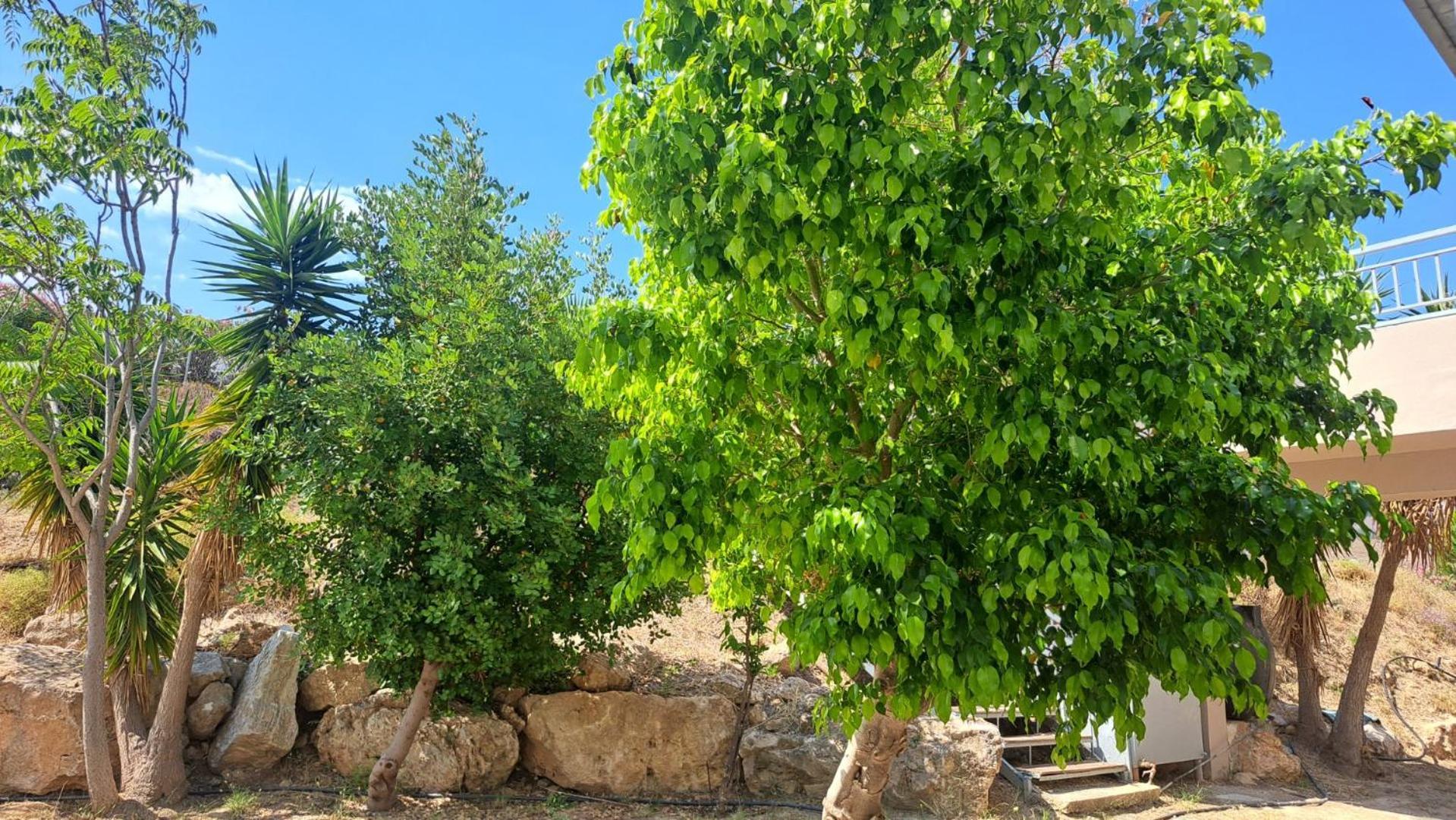 Hercules Hills Sea View Villas Miasto Kos Zewnętrze zdjęcie